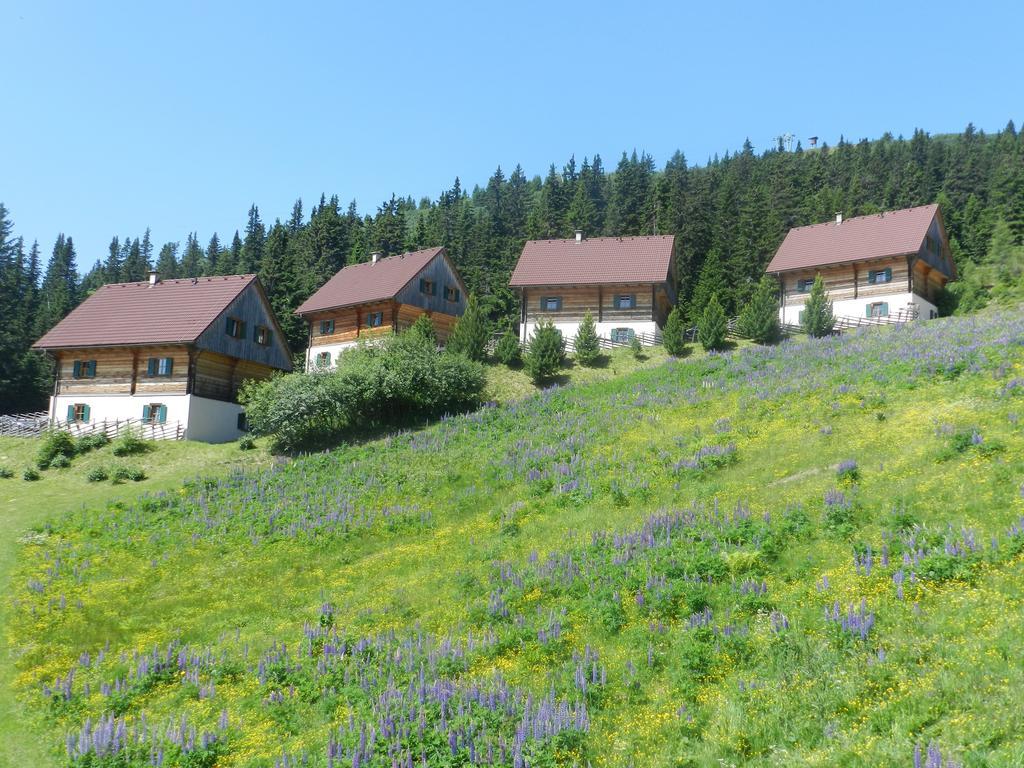 Moselebaueralm Villa Klippitztorl Szoba fotó